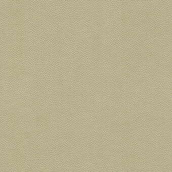 Sample - Litestar.116.0 | Litestar, - Kravet Design Fabric