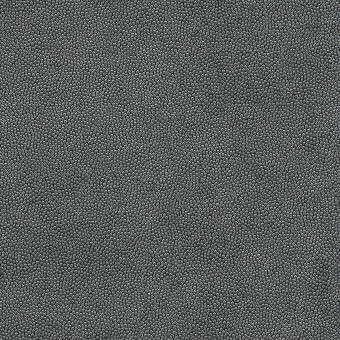 Sample - Litestar.21.0 | Litestar, - Kravet Design Fabric