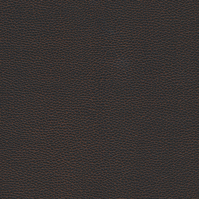 Levant-Nj | # 1178 Black Bean - Maxwell Fabric