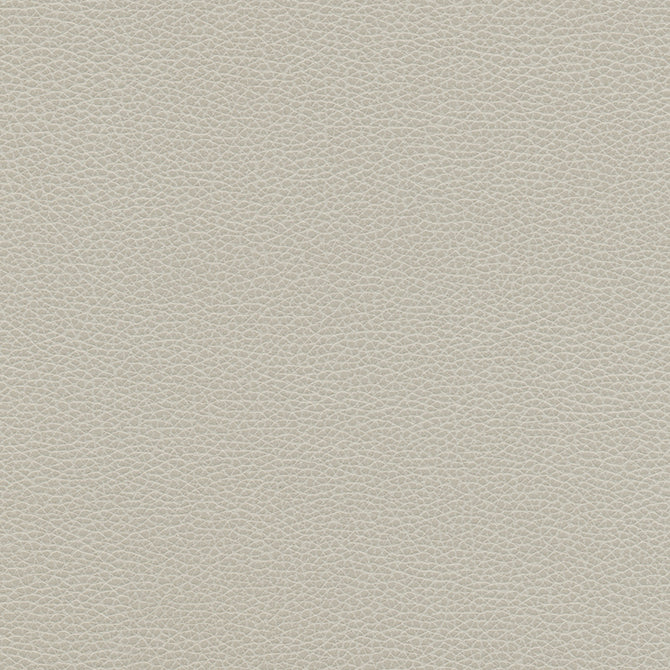 Levant-Nj | # 1179 Cloud - Maxwell Fabric