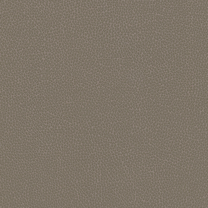 Purchase Maxwell Fabric - Levant-Nj, # 1180 Fox