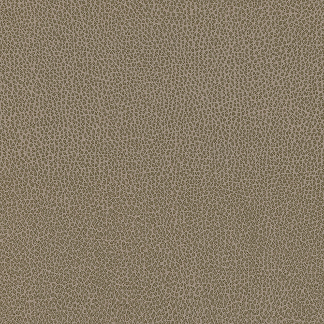 Purchase Maxwell Fabric - Levant-Nj, # 1184 Earth