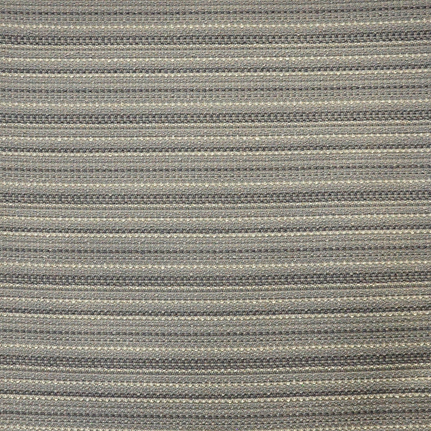 Longitude | # 817 Pigeon - Maxwell Fabric