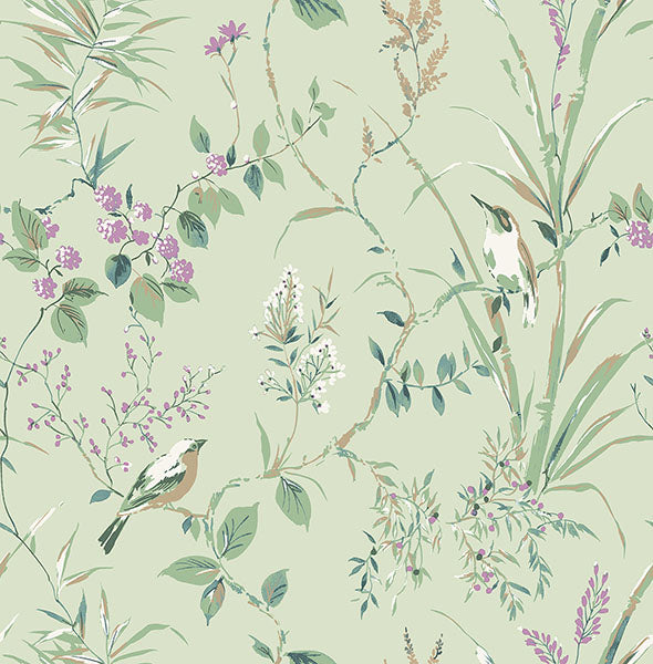 Purchase M1552 Brewster Wallpaper, Mariko Sage Botanical - Medley