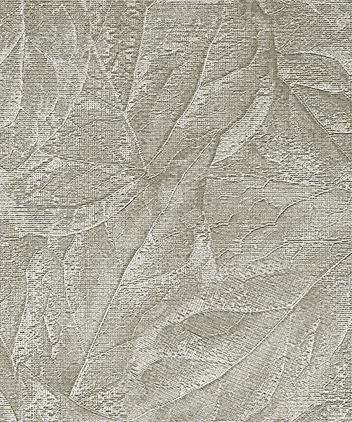 Purchase M95663 Brewster Wallpaper, Aspen Sterling Leaf - Medley
