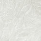 Purchase M95664 Brewster Wallpaper, Aspen White Leaf - Medley