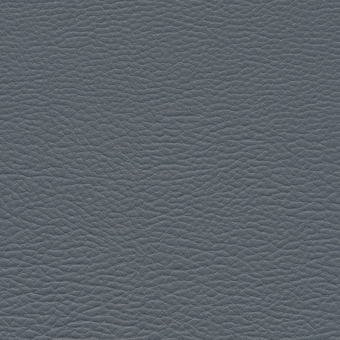 Meadowland-Nj | # 956 Neptune - Maxwell Fabric