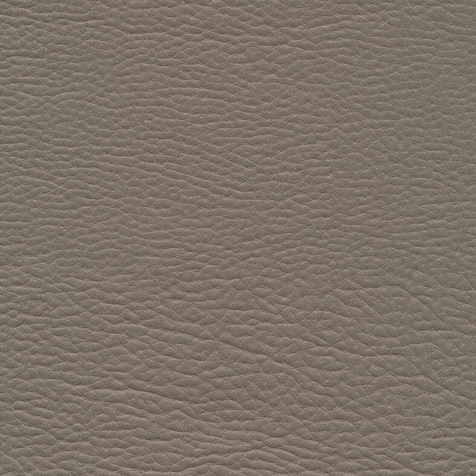 Meadowland-Nj | # 960 Fox - Maxwell Fabric