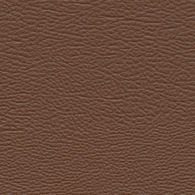 Purchase Maxwell Fabric - Meadowland-Nj, # 962 Hut