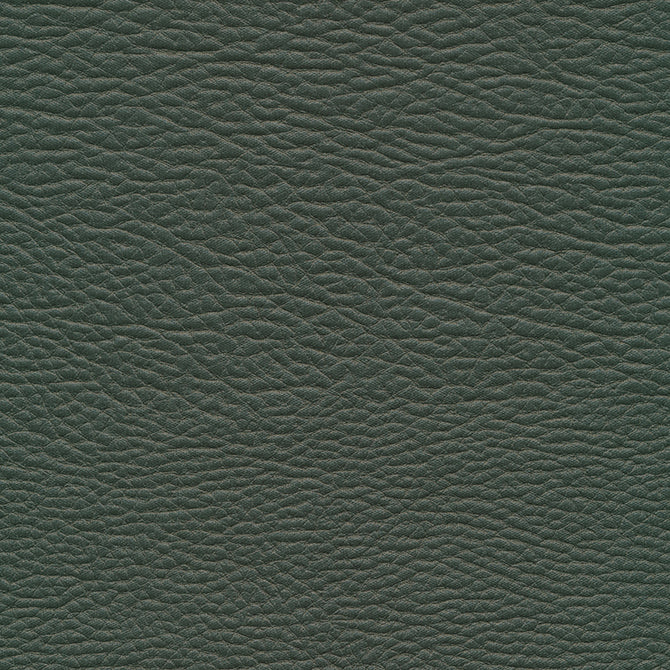 Meadowland-Nj | # 964 Evergreen - Maxwell Fabric