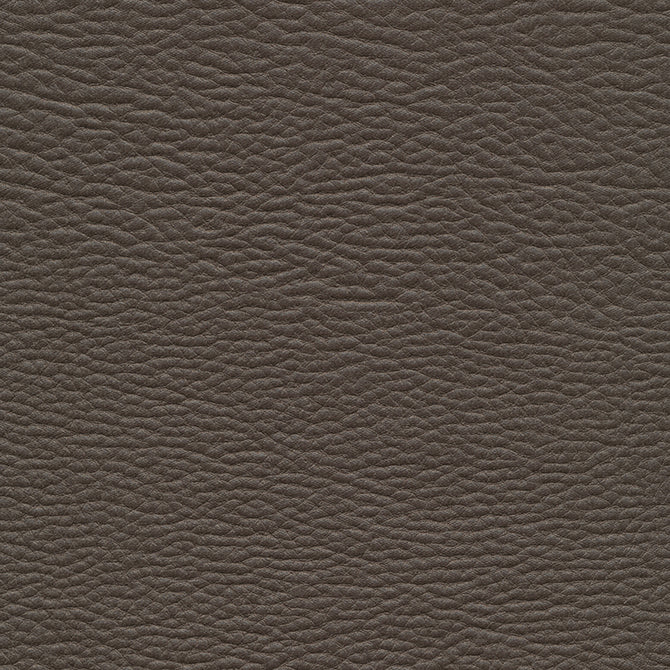 Purchase Maxwell Fabric - Meadowland-Nj, # 965 Clay