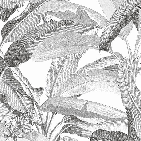 Purchase Mh36533 | Manor House, Grey Botanical - Norwall Wallpaper
