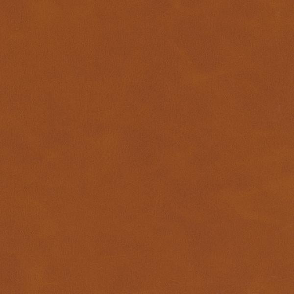 Sample - Mojari.6.0 | Kravet Design, Faux Leather Iv - Kravet Design Fabric