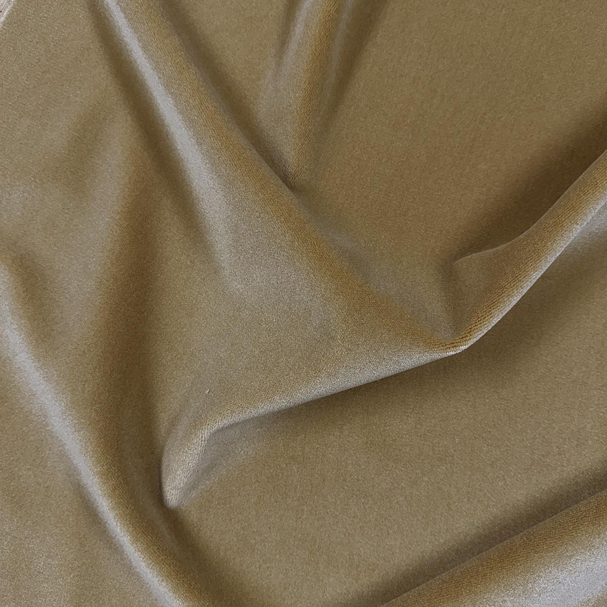 Purchase Mag Fabric Product# 12285 pattern name Moyra Coin