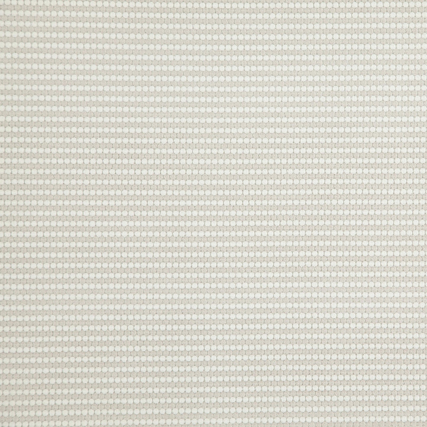 Macaw | # 205 Latte - Maxwell Fabric