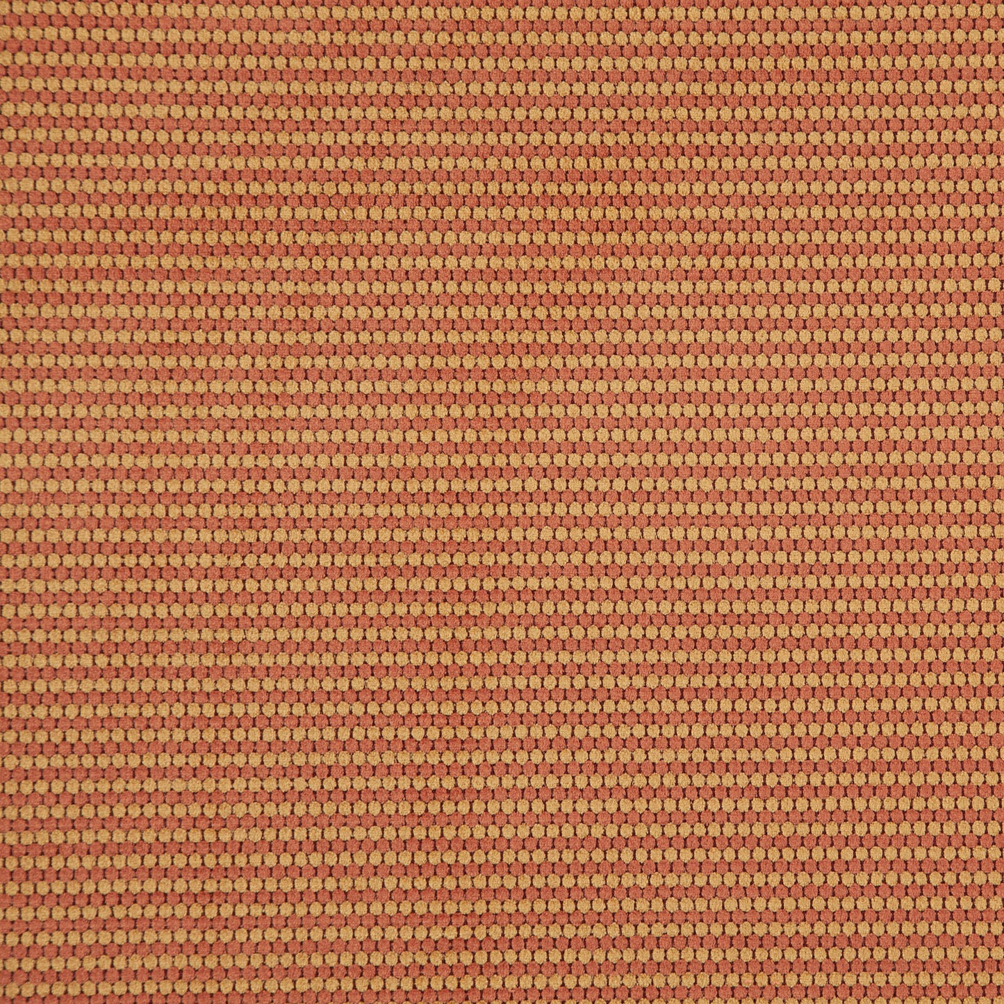 Macaw | # 503 Sienna - Maxwell Fabric