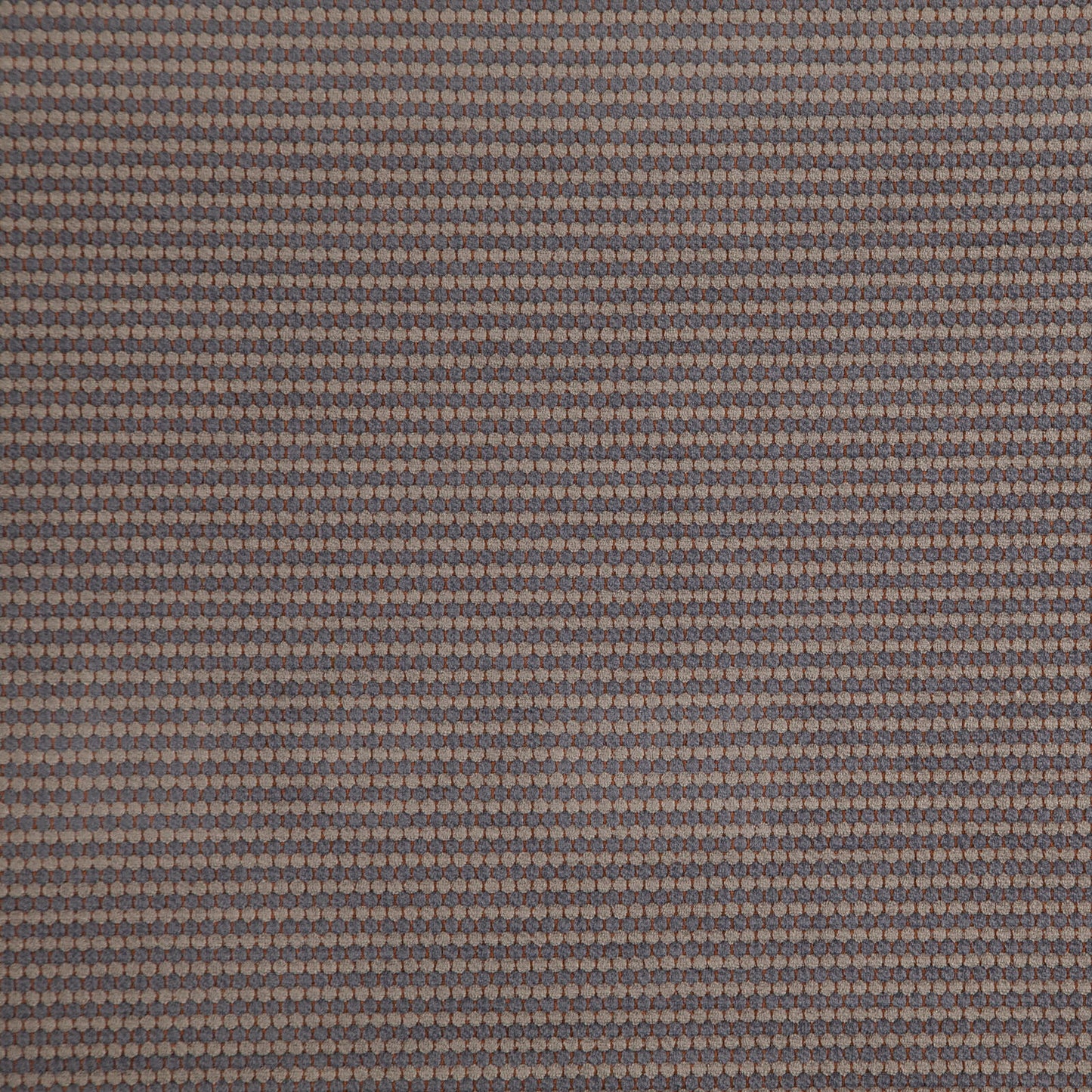 Macaw | # 526 Limestone - Maxwell Fabric