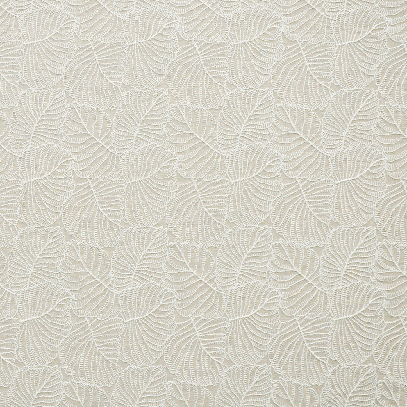 Nettle | # 201 Latte - Maxwell Fabric