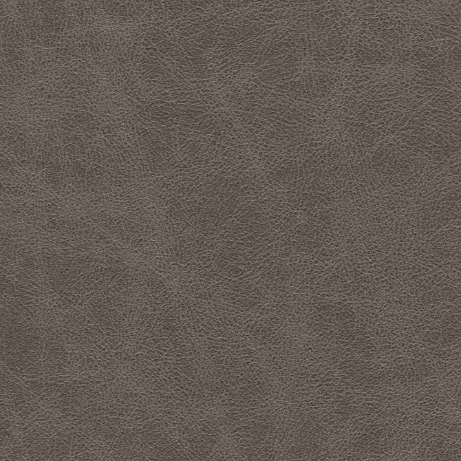 Purchase Maxwell Fabric - Noonday-Nj, # 1025 Graphite