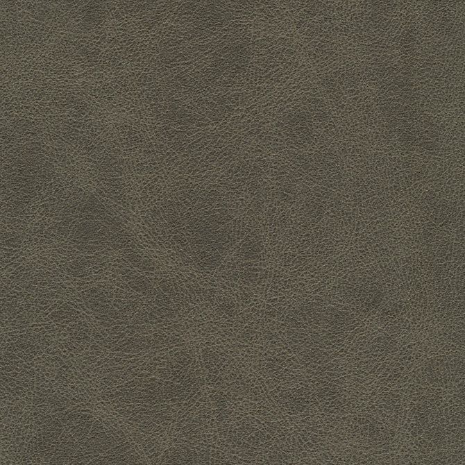 Purchase Maxwell Fabric - Noonday-Nj, # 1030 Woods