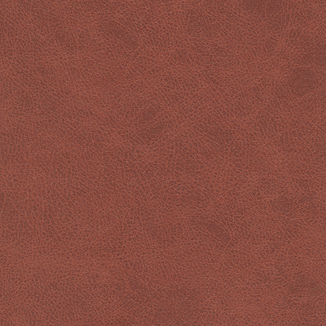 Purchase Maxwell Fabric - Noonday-Nj, # 1035 Terracotta