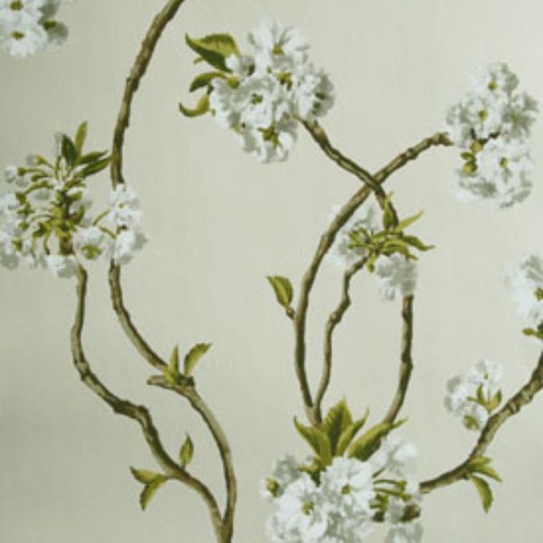 Purchase Ncw4027-05 | Sylvana Orchard Blossom - Nina Campbell Wallpaper