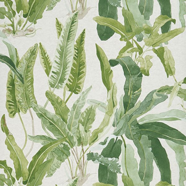Purchase Ncw4393-02 | Ashdown Benmore Green/Ivory - Nina Campbell Wallpaper