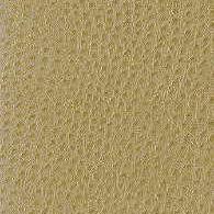 Sample - Nuostrich.16.0 | Kravet Basics, - Kravet Basics Fabric