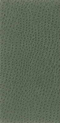 Purchase Nuostrich.3.0 Kravet Basics, Upholstery - Kravet Basics Fabric