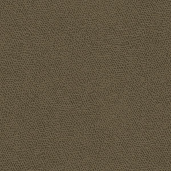 Sample - Ophidian.606.0 | Ophidian, Contract Sta-Kleen - Kravet Contract Fabric