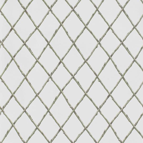 Sample - P2025106-130 | Bare Twig Trellis Wp, Green Trellis - Lee Jofa Wallpaper - P2025106.130.0