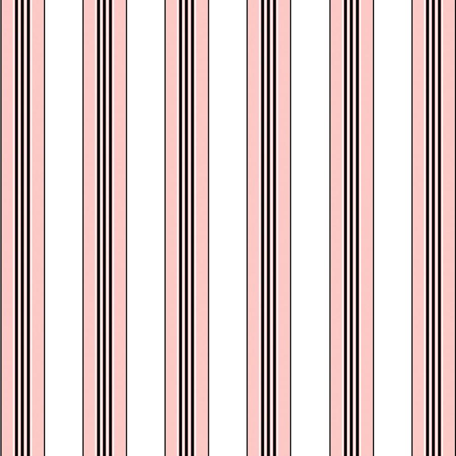 Looking P8015104.17 Rayure Lione Rose by Brunschwig Fils