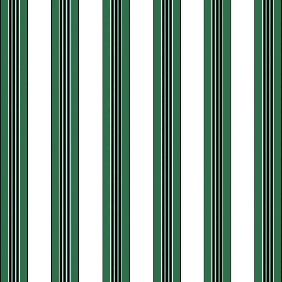 View P8015104.53 Rayure Lione Emerald by Brunschwig Fils
