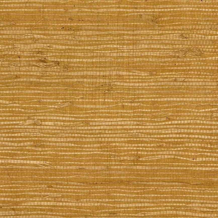 Sample P8015146.40 Kochi Maize Brunschwig and Fils