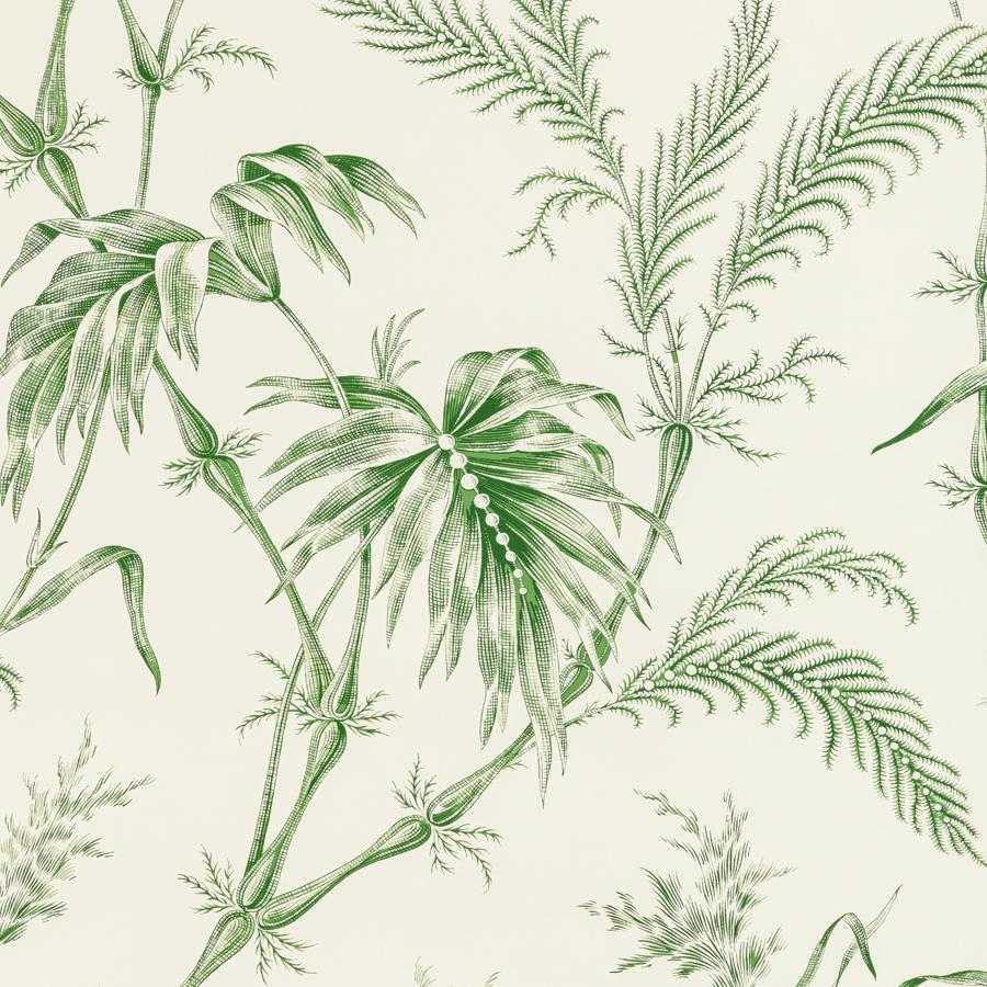 Sample P8020113.3.0 Lauziere, Green by Brunschwig and Fils Wallpaper