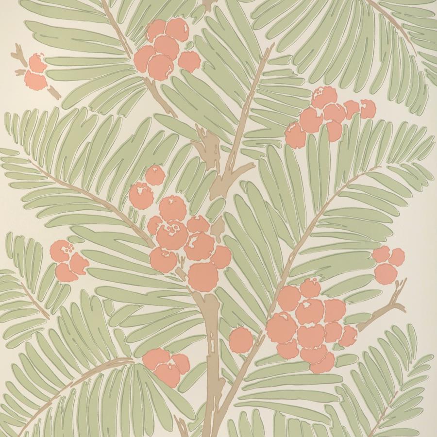 Purchase P8022108.319.0 Palmar, Green Tropical - Brunschwig & Fils Wallpaper