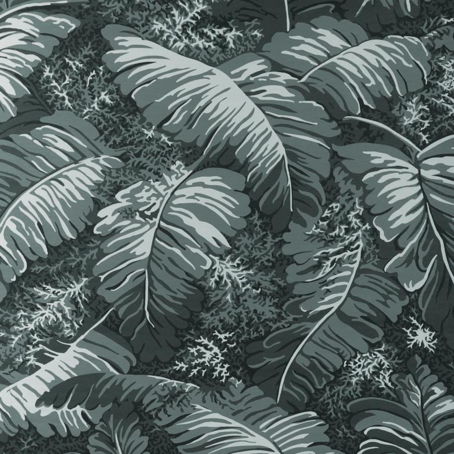 Purchase P8023109.21.0 Feuilles De Bananier, Grey Leaf - Brunschwig & Fils Wallpaper
