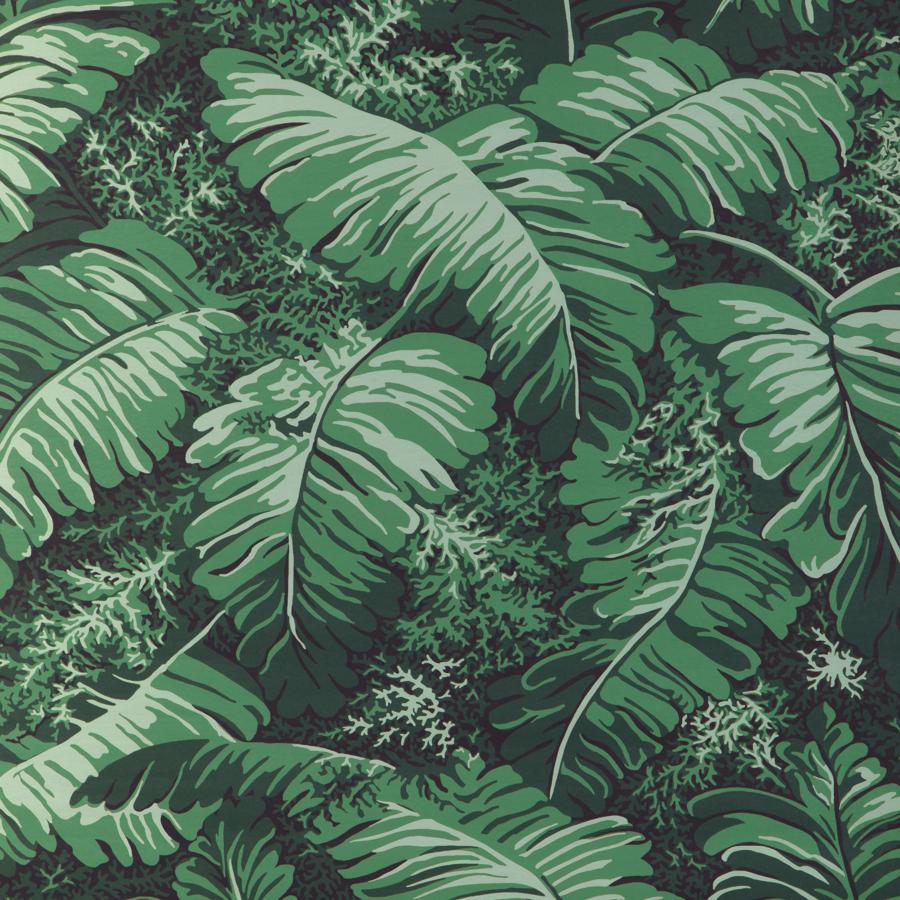 Sample - P8023109.33.0 | Feuilles De Bananier, Green Leaf - Brunschwig & Fils Wallpaper