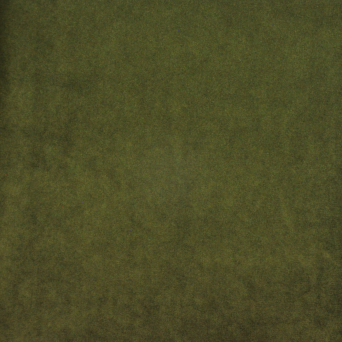Purchase Maxwell Fabric - Palermo, # 418 Olive