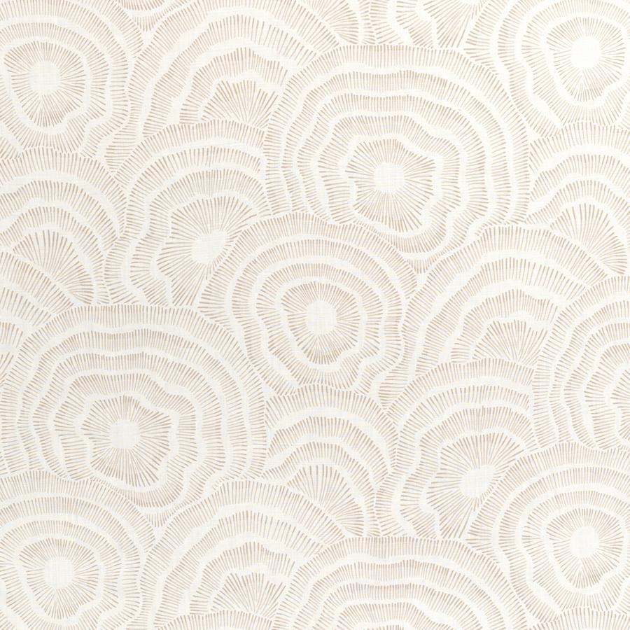 Purchase Panache.16.0 Panache, Corey Damen Jenkins Trad Nouveau Ii - Kravet Couture Fabric