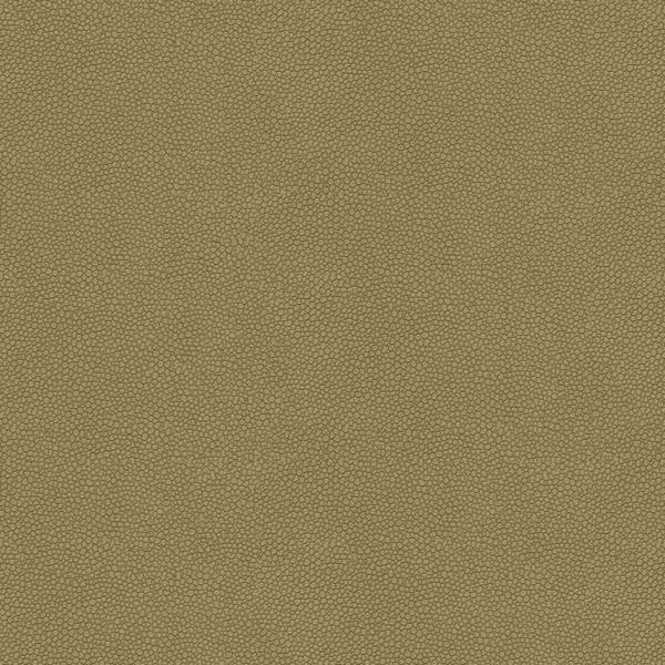 Sample - Pietra.11.0 | Kravet Design, - Kravet Design Fabric