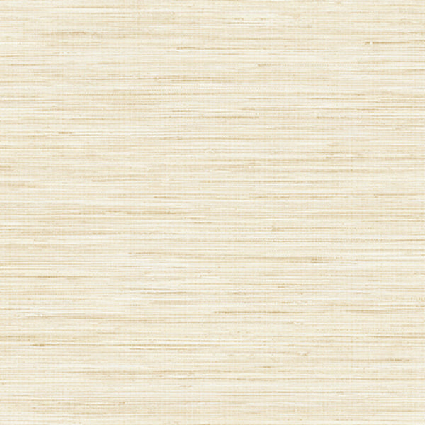 Purchase PS41503 Palm Springs, Baja Grass Sand Texture by Kenneth James Wallpaper