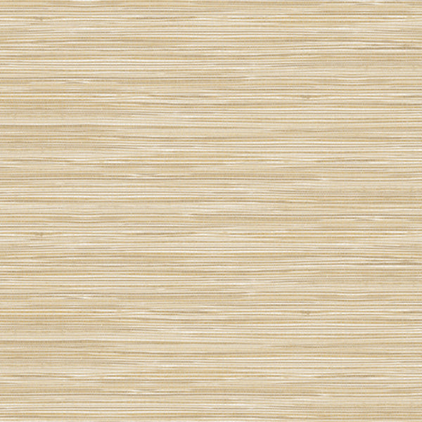 Purchase PS41605 Palm Springs, Holiday String Beige Texture by Kenneth James Wallpaper