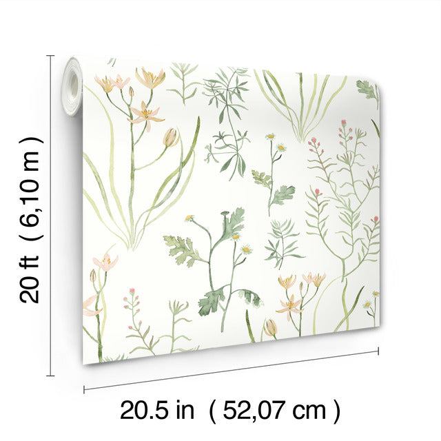 Purchase Psw1519Rl | Watercolor Botanicals, Alpine Botanical Peel & Stick - York Wallpaper