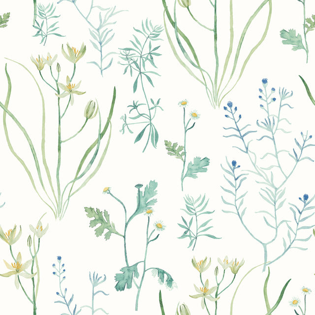 Purchase Psw1520Rl | Watercolor Botanicals, Alpine Botanical Peel & Stick - York Wallpaper