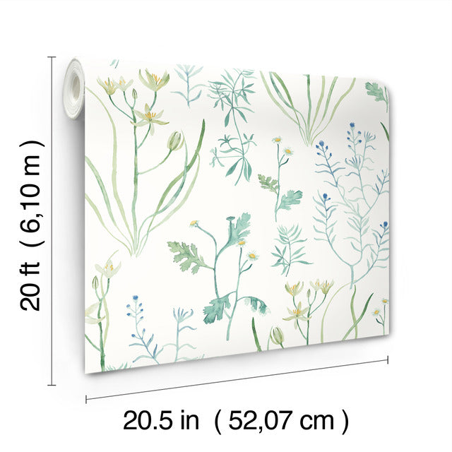 Purchase Psw1520Rl | Watercolor Botanicals, Alpine Botanical Peel & Stick - York Wallpaper