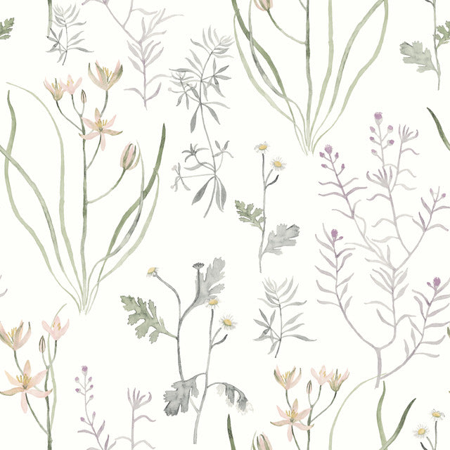 Purchase Psw1521Rl | Watercolor Botanicals, Alpine Botanical Peel & Stick - York Wallpaper