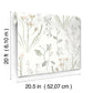 Purchase Psw1521Rl | Watercolor Botanicals, Alpine Botanical Peel & Stick - York Wallpaper