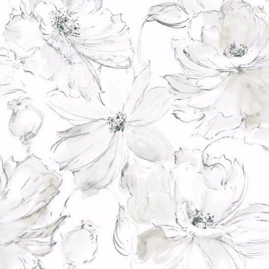 Purchase Psw1530Rl | Watercolor Botanicals, Floral Dreams Peel & Stick - York Wallpaper