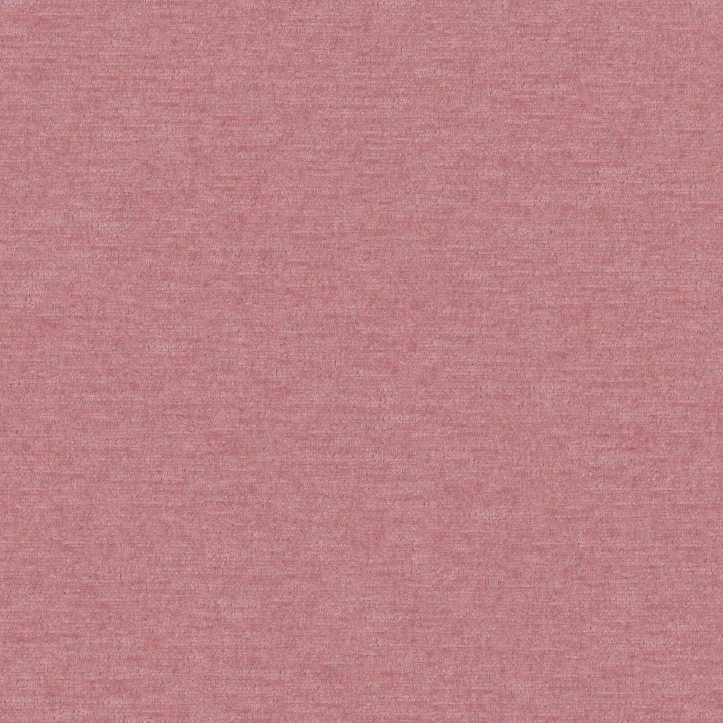 Pintura | # 883 Petal - Maxwell Fabric